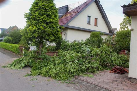 Gewittersturm über Cottbus abgedeckte Dächer entwurzelte Bäume