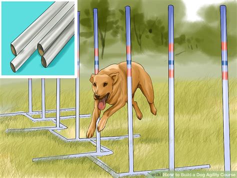 How To Build A Dog Agility Course 12 Steps With Pictures