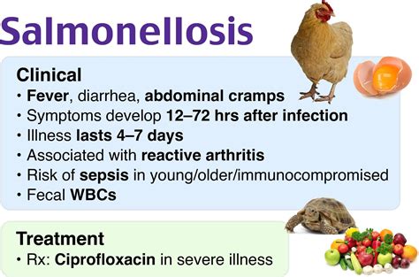 Anemia Part 3 Megaloblastic Anemia Macrocytic Vitamin B12 And Folic Acid Deficiency And Lab