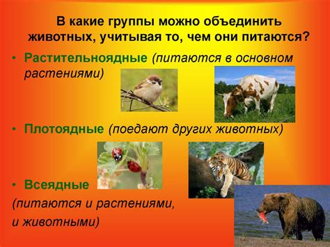 Размножение и развитие животных - презентация онлайн