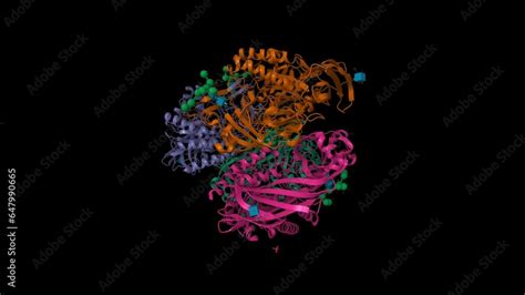 Structure of human beta-glucuronidase. Animated 3D cartoon and Gaussian ...