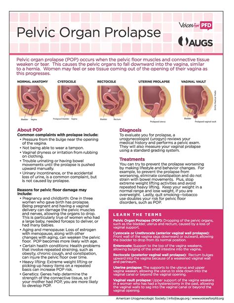 Augs Patient Fact Sheets Pelvic Floor Pelvic Organ Prolapse