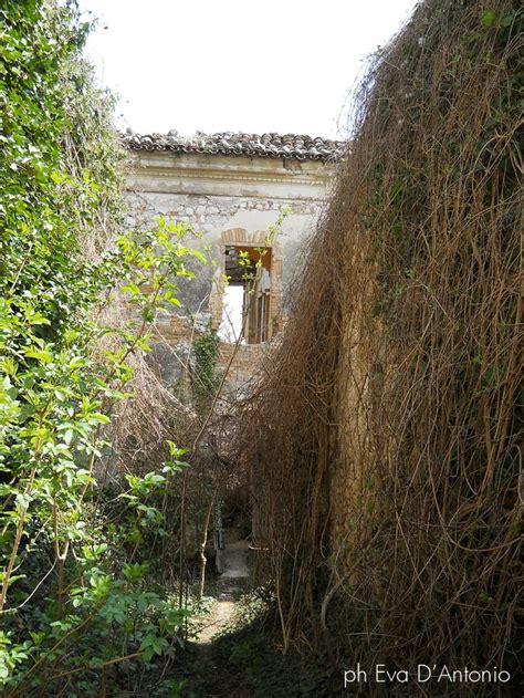 An Old Building With Vines Growing Around It