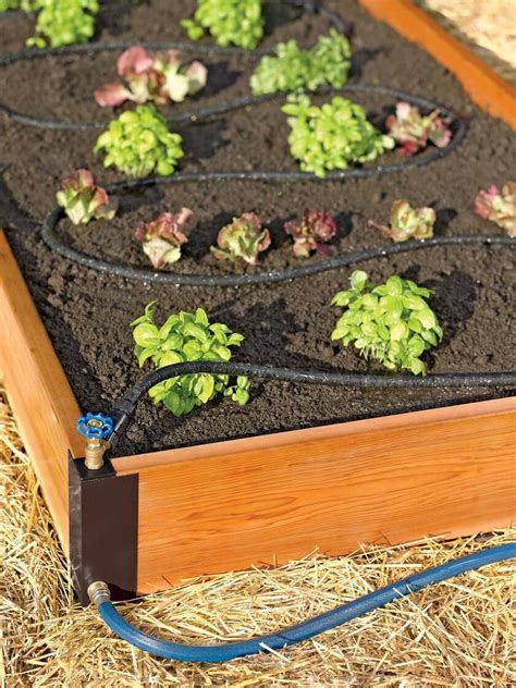 24 Planting A Raised Bed Vegetable Garden Ideas To Try This Year Sharonsable