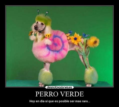 Perro Verde Desmotivaciones