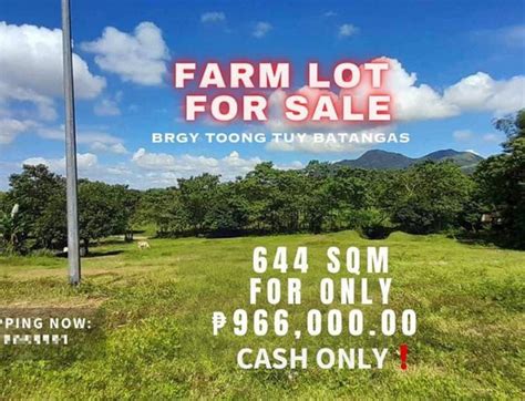 Residential Farm Lot For Sale Lian Batangas Properties