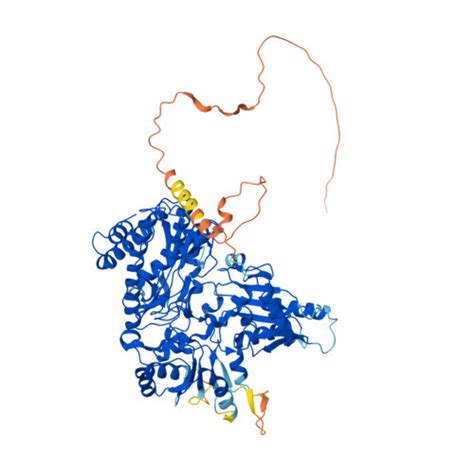 Rcsb Pdb Af Afq F Computed Structure Model Of Putative Xaa Pro