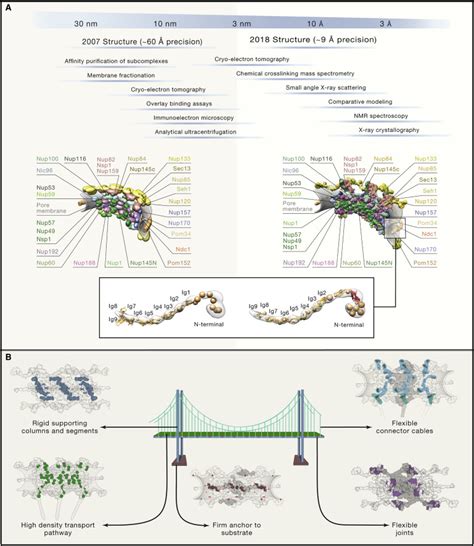 Principles For Integrative Structural Biology Studies Cell