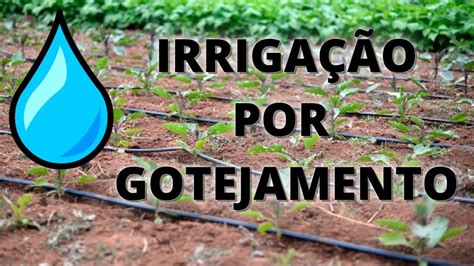 COMO FAZER IRRIGAÇÃO POR GOTEJAMENTO FÁCIL E BARATO POR GRAVIDADE