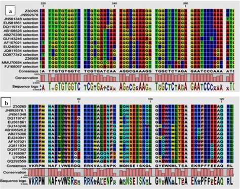 Comparative In Silico Study Of Sex Determining Region Y Sry Protein