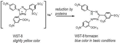 Protein Quantification Kit Wide Range Dojindo