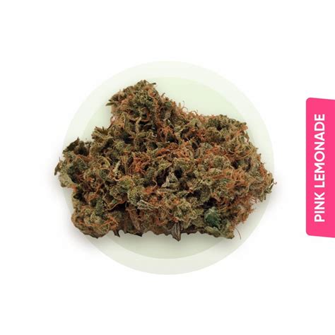 Buy Pink Lemonade Strain Online Broccoli Nugs UK