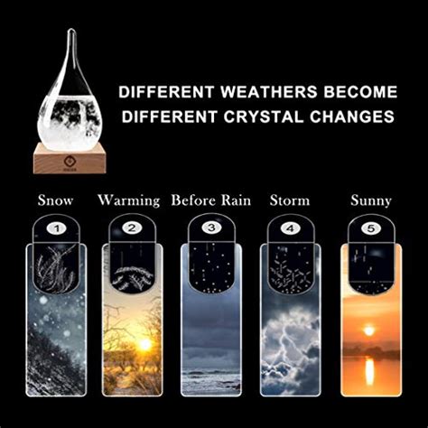 Storm Glass Weather Station Weather Forecaster Stylish And Creative Drop Shaped Glass Barometer