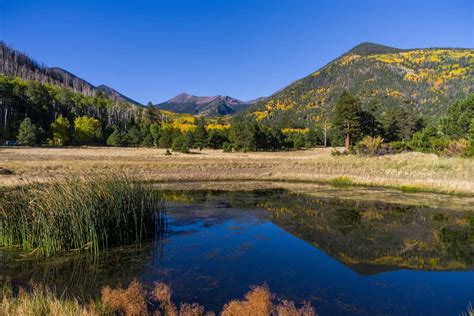 Coconino National Forest Best Hikes Camping Fee And Trails Map Arizona