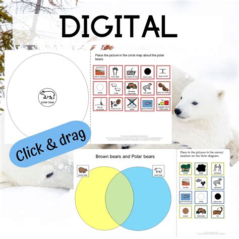 Polar Bears For Special Education Tundra Biome • Special Needs For