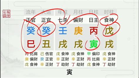 婚姻波折，事业大起大落的纯阳八字 Youtube