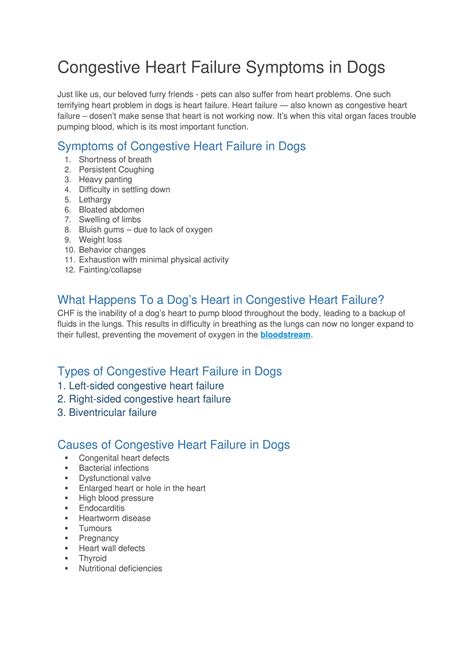 Congestive Heart Failure Symptoms in Dogs by BestVetCareus - Issuu