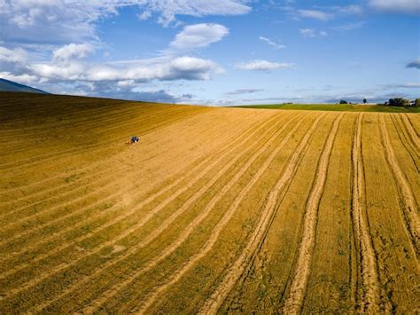 Agricultores Trabalham No Campo Trator Cultivando Campo Na Primavera