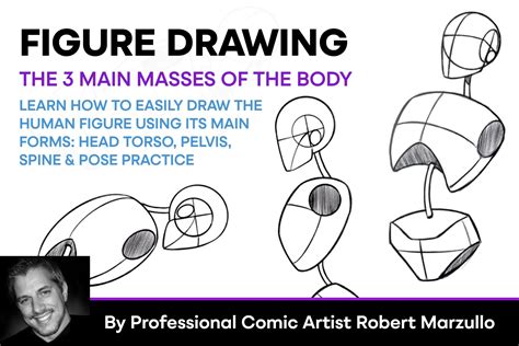 Figure Drawing The Main Masses Of The Body Design Cuts