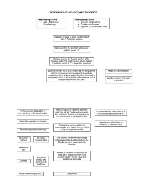 Pathophysiology of Acute Gastroenteritis