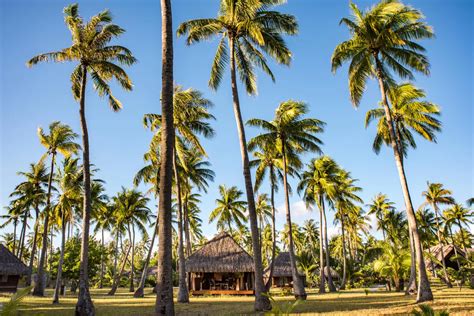 Accommodations In Rangiroa Tahiti Tourisme