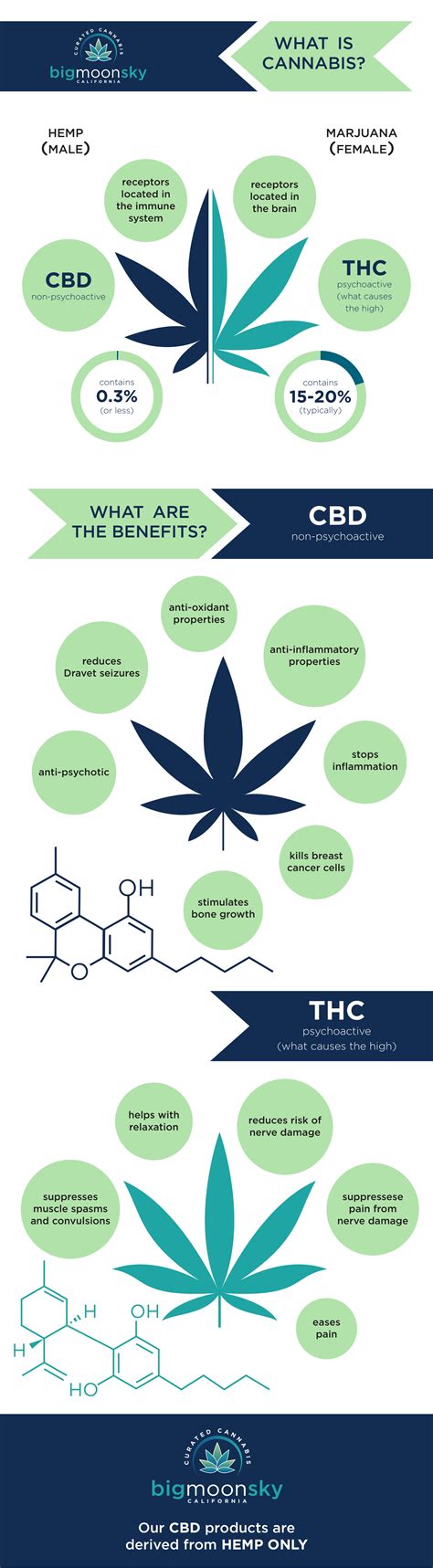 Cbd And Thc Whats The Difference And Their Benefits R Infographics