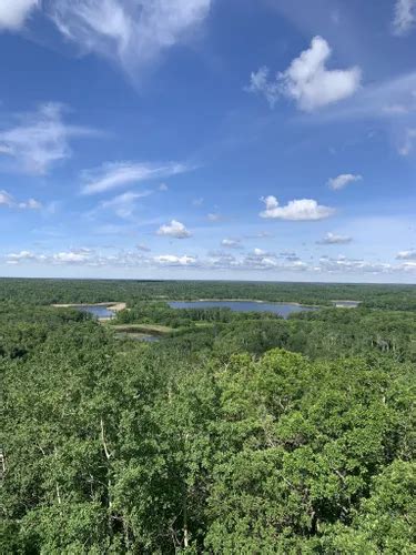 Best Hikes And Trails In William Lake Provincial Park Alltrails