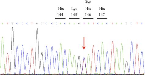 Figure3 Identification Of The C 436t C Mutation In The Hbb Gene By Download Scientific Diagram