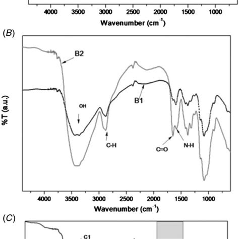 Ftir Spectra Of A Chitin Ct A1 Cts A2 Ctc B Chitosan Cht