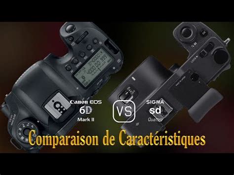 Canon Eos D Mark Ii Vs Sigma Sd Quattro Une Comparaison De