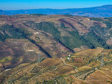 How To Plan A Douro Valley Wine Tour Tips And Advice