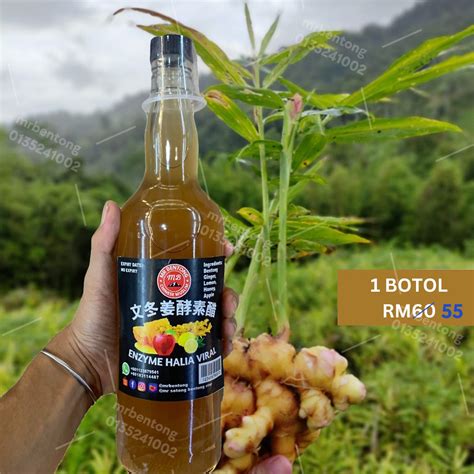 Air Halia Bentong Minuman Air Jus 𝗩𝗶𝗿𝗮𝗹 𝗠𝗿 𝗕𝗲𝗻𝘁𝗼𝗻𝗴 𝐂𝐡𝐢𝐧𝐞𝐬𝐞 𝐌𝐮𝐬𝐥𝐢𝐦𝐬