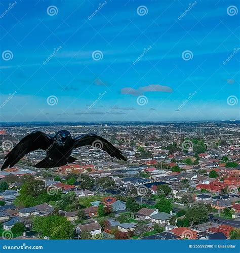 Firefighter Salary Trends: Average Compensation in Melbourne, Victoria 18