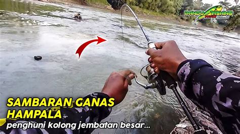 Casting Hampala Di Bawah Jembatan Besar Mancing Hampala Sungai