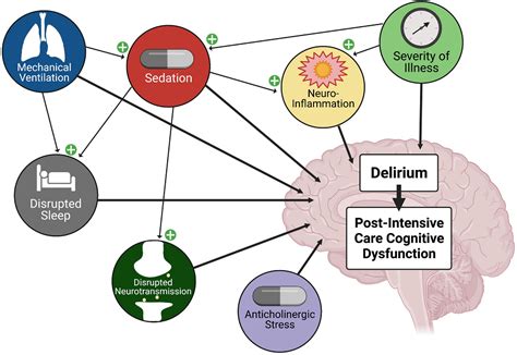 Frontiers Cognitive Dysfunction After Analgesia And Sedation Out Of