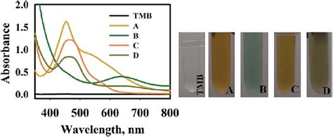 UV Vis Spectra Of TMB Solution A TMB Au III HAuCl 4 III 0 9 ML