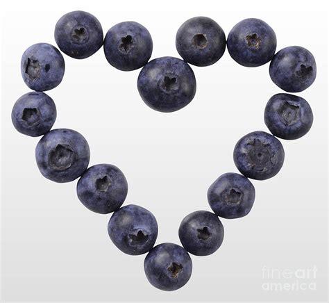 Blueberry Heart Photograph By Gwen Shockey Fine Art America