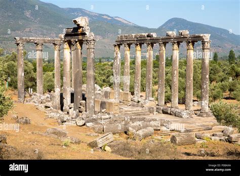 Columns Of The Ancient Temple Of Zeus At Euromos Also Eunomus And