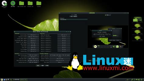 Bodhi Linux Ubuntu Lts Linux