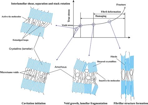 Stress Strain Curve For Polymers