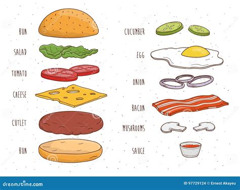 Hamburger Ingredients Emblem Vector Illustration
