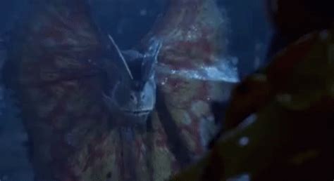 Dilophosaurus Mad Dilophosaurus Mad Angry Discover Share GIFs