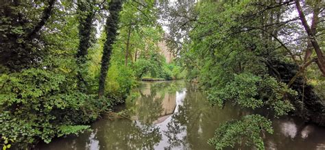 F Nf Fl Sse Radweg Amberg Lauf Gerhard Kolb