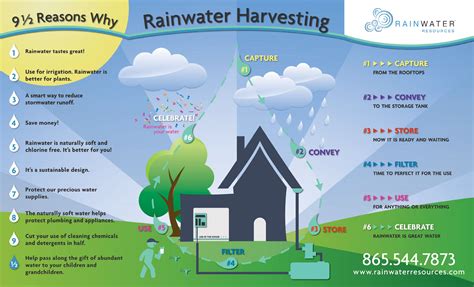 A Fun Illustration Walking Through The 6 Steps Of A Sustainable