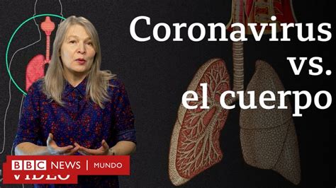 Coronavirus qué le hace el covid 19 al cuerpo BBC News Mundo