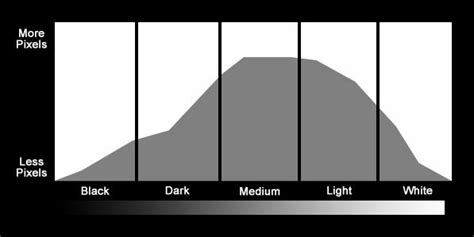 How To Read Histograms Sussex Photography