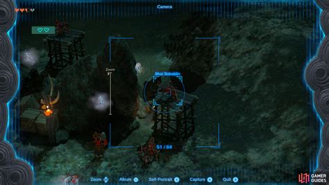 Ice Keese - The Legend of Zelda: Tears of the Kingdom Database | Gamer