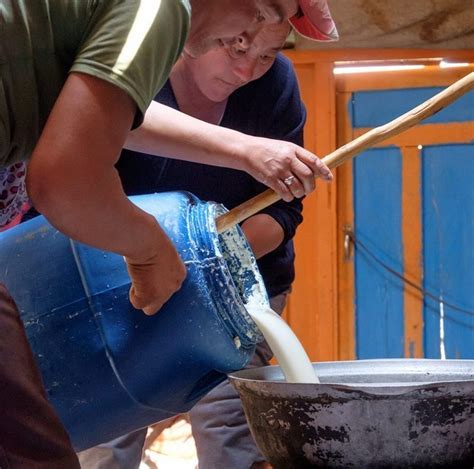Drink horse milky wine-best experiences-in Mongolia - Living + Nomads ...