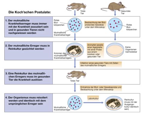 Mikrobiologie I Flashcards Quizlet