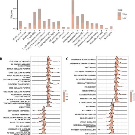 Analysis Of The Immune Cell Infiltration And The Differentially